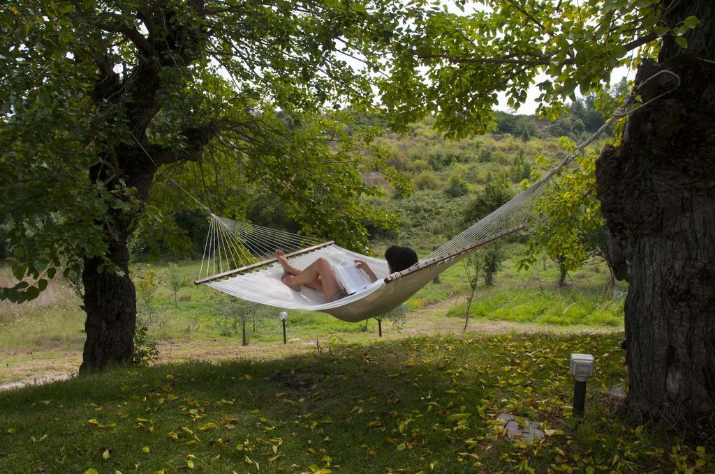 I Gelsi Guest House Figline Valdarno Exterior foto